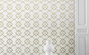 f1d19b_5a3d12aa1e744df1a3717092c3321954-mv2