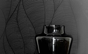 f1d19b_f41e047b20c54857b1f065a211322ccb-mv2