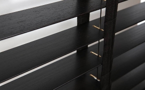 f1d19b_d4562a2f5af142b696258243d10dd653-mv2