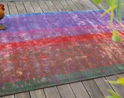 HAPPY MULTICO amb HAPPY MULTICO amb