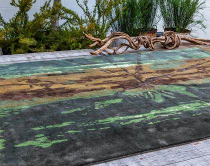 RAY BOISE AMB RAY BOISE AMB